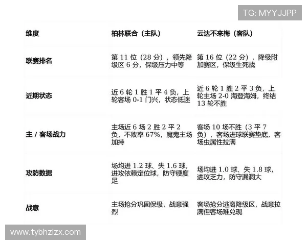德甲最新赛季走势解析：各队表现亮点与挑战一览